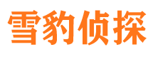 环县侦探公司